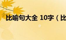 比喻句大全 10字（比喻句大全优美10字）