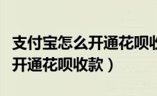 支付宝怎么开通花呗收款不限额（支付宝怎么开通花呗收款）