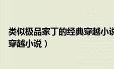 类似极品家丁的经典穿越小说有哪些（类似极品家丁的经典穿越小说）