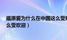 福原爱为什么在中国这么受欢迎?（福原爱为什么在中国这么受欢迎）