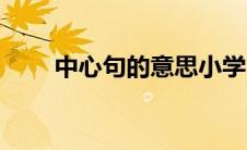 中心句的意思小学（中心句的意思）