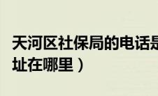 天河区社保局的电话是多少（天河区社保局地址在哪里）
