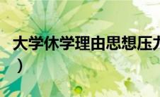 大学休学理由思想压力怎么写（大学休学理由）