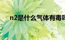 n2是什么气体有毒吗（n2是什么气体）