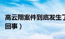 高云翔案件到底发生了什么（高云翔案件是咋回事）