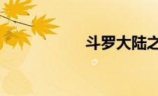 斗罗大陆之小狂列传