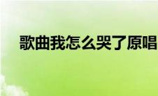 歌曲我怎么哭了原唱（我怎么哭了原唱）