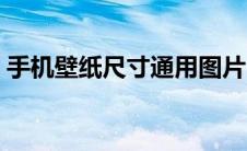 手机壁纸尺寸通用图片（手机壁纸尺寸通用）
