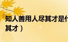 知人善用人尽其才是什么理念（知人善用人尽其才）