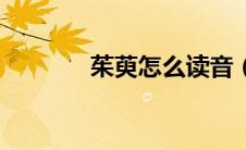 茱萸怎么读音（茱萸怎么读）