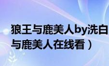 狼王与鹿美人by洗白白在线阅读 小说（狼王与鹿美人在线看）