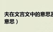 夫在文言文中的意思及例句（夫在文言文中的意思）