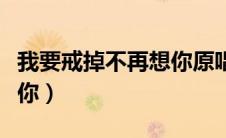 我要戒掉不再想你原唱是谁（我要戒掉不再想你）