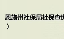 恩施州社保局社保查询（恩施州社保查询系统）