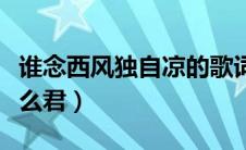 谁念西风独自凉的歌词（谁念西风独自凉等什么君）