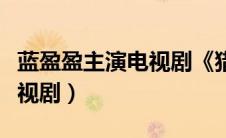 蓝盈盈主演电视剧《猎杀》（蓝盈盈主演的电视剧）