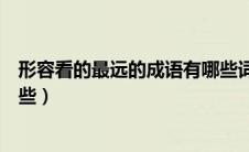 形容看的最远的成语有哪些词语（形容看的最远的成语有哪些）