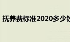 抚养费标准2020多少钱（抚养费标准2020）