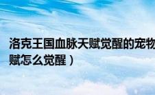 洛克王国血脉天赋觉醒的宠物有哪些2021（洛克王国血脉天赋怎么觉醒）