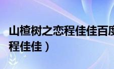 山楂树之恋程佳佳百度百科（我的山楂树之恋程佳佳）
