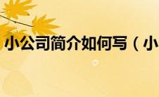 小公司简介如何写（小公司简介怎么写范文）