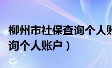 柳州市社保查询个人账户金额（柳州市社保查询个人账户）