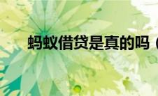蚂蚁借贷是真的吗（蚂蚁借贷是什么）
