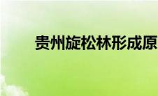 贵州旋松林形成原因（贵州旋松林）