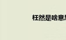 枉然是啥意思?（枉然）