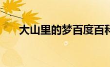 大山里的梦百度百科（大山里的欲望）