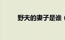 野夫的妻子是谁（野夫为何入狱）