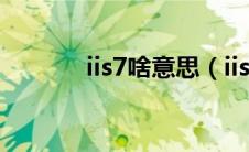 iis7啥意思（iis7是什么意思）