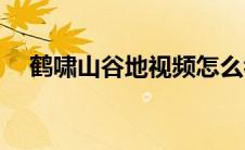 鹤啸山谷地视频怎么看（鹤啸山谷地sp）