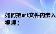 如何把srt文件内嵌入视频（srt文件怎么导入视频）