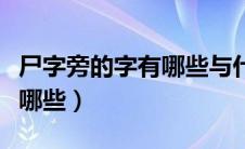 尸字旁的字有哪些与什么有关（尸字旁的字有哪些）