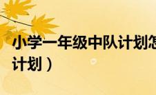 小学一年级中队计划怎么写（小学一年级中队计划）