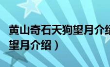 黄山奇石天狗望月介绍二年级（黄山奇石天狗望月介绍）
