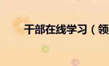 干部在线学习（领导干部在线学习）