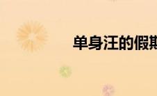 单身汪的假期（单身汪）