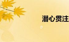 潜心贯注（潜心）