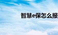 智慧e保怎么报销（智慧e保）