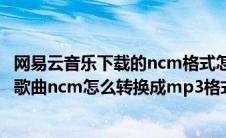 网易云音乐下载的ncm格式怎么转换成mp3（网易云下载的歌曲ncm怎么转换成mp3格式）