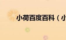 小荷百度百科（小荷欲绽txt下载）