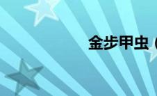金步甲虫（金步甲）