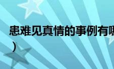 患难见真情的事例有哪些（患难见真情的事例）
