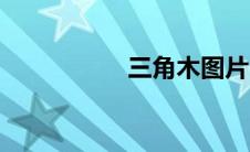 三角木图片（三角木）