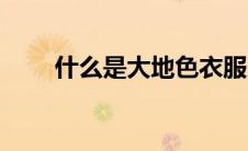 什么是大地色衣服（什么是大地色）