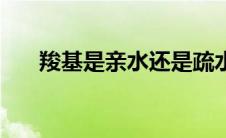 羧基是亲水还是疏水基团（疏水基团）