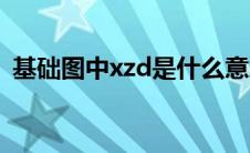 基础图中xzd是什么意思（xzd是什么基础）