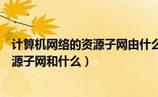 计算机网络的资源子网由什么组成（计算机网络一般包括资源子网和什么）